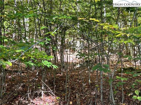 121 Aster Trl, Beech Mountain, NC 28607 photo 7