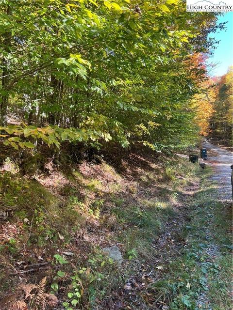 121 Aster Trl, Beech Mountain, NC 28607 photo 5