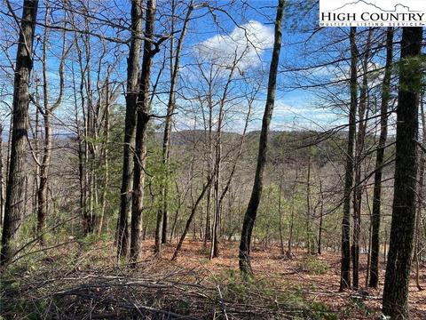 49 Elk Horn Rd, Ferguson, NC 28624