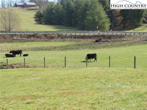 32 Hampton Ln, Sparta, NC 28675 photo 36