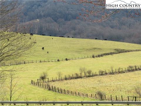 32 Hampton Ln, Sparta, NC 28675 photo 40