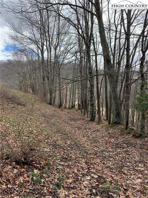 104 Stone Mountain Rd, Vilas, NC 28692 photo 8
