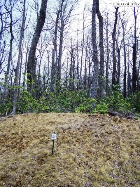 lot11 12 Sunset Ridge Dr, Boone, NC 28607