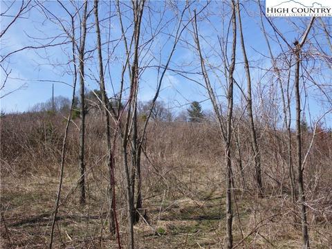 tbd Brown Rd, Sparta, NC 28675 photo 11