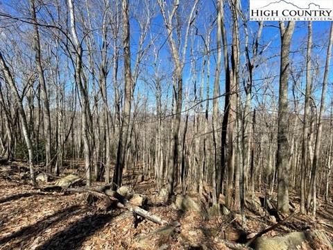 0 Mayapple Rd, Beech Mountain, NC 28604
