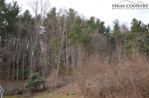 125 Sidden Ln, Sparta, NC 28675 photo 7