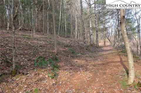 125 Sidden Ln, Sparta, NC 28675 photo 23