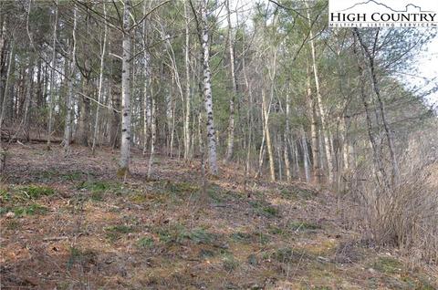 125 Sidden Ln, Sparta, NC 28675 photo 22