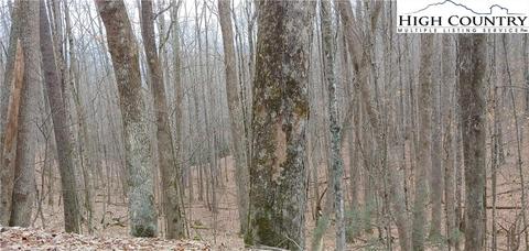 129 Deergrass Rd, Beech Mountain, NC 28604 photo 1