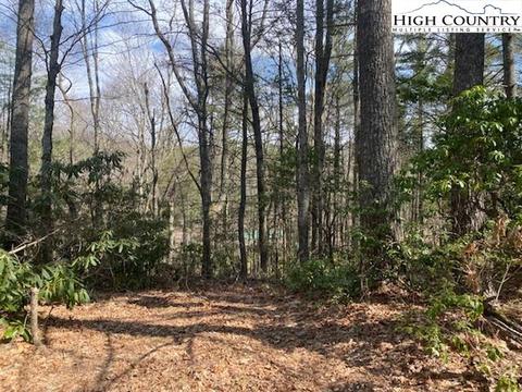 TBD Windy Hill Road, Fleetwood, NC 28626