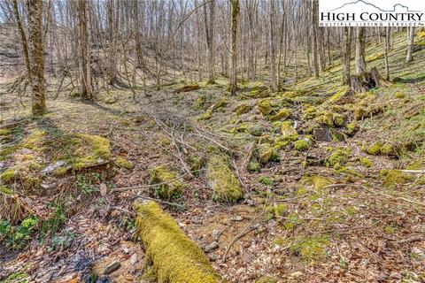 2139 Georges Gap Rd, Vilas, NC 28692 photo 29