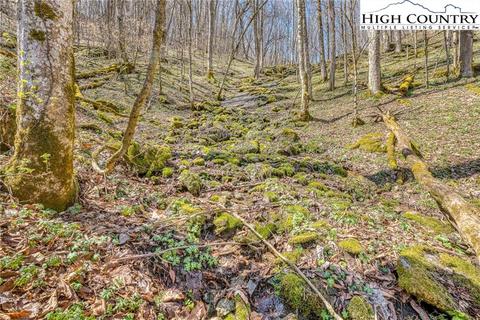 2139 Georges Gap Rd, Vilas, NC 28692 photo 31