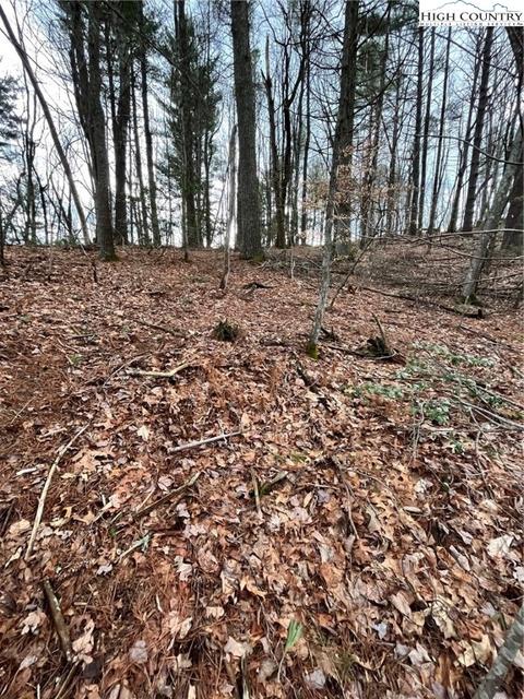 164 Smith Rd, Deep Gap, NC 28618 photo 5