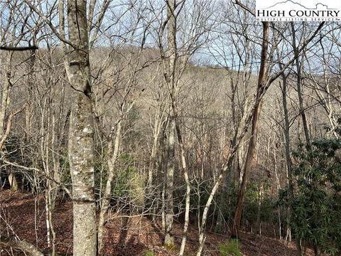 19 Speckled Dr, Laurel Springs, NC 28644