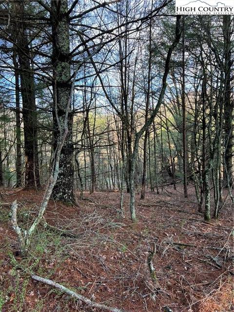13 Speckled Dr, Laurel Springs, NC 28644