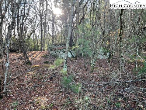 7 Speckled Dr, Laurel Springs, NC 28644