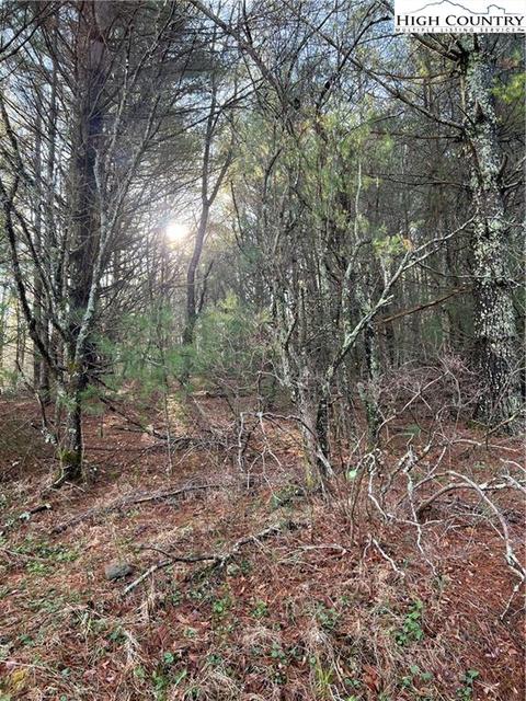 6 Speckled Dr, Laurel Springs, NC 28644