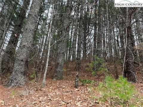 5 Speckled Dr, Laurel Springs, NC 28644