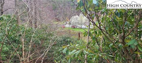 513 Betsy Cir, Todd, NC 28684 photo 9