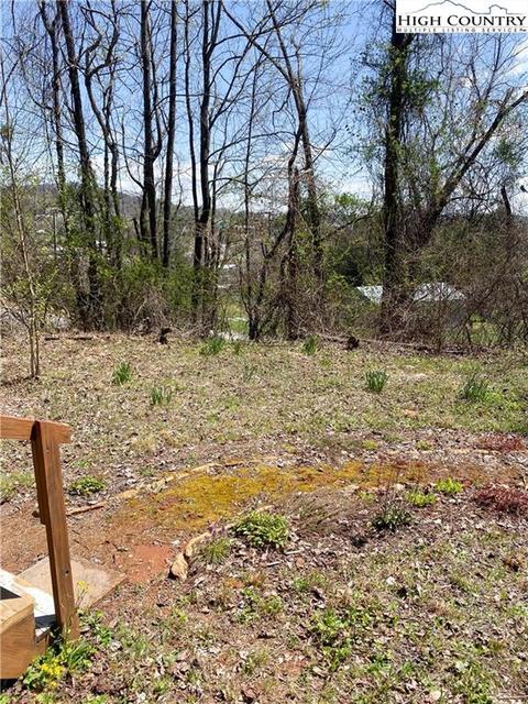 338 Mitchell Mountain Rd, Sparta, NC 28675 photo 14