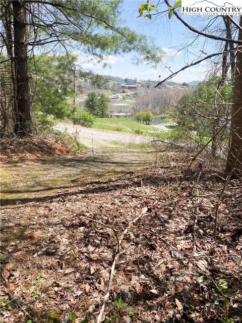 338 Mitchell Mountain Rd, Sparta, NC 28675 photo 19