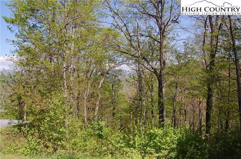 9 Bear Cubs Trail, Boone, NC 28607