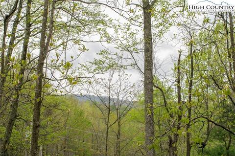 101 Balsam Ln, Beech Mountain, NC 28604 photo 9