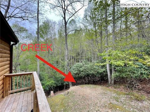 101 Balsam Ln, Beech Mountain, NC 28604 photo 43