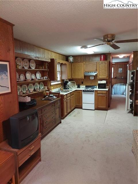 199 Elderberry Loop, Newland, NC 28657 photo 10