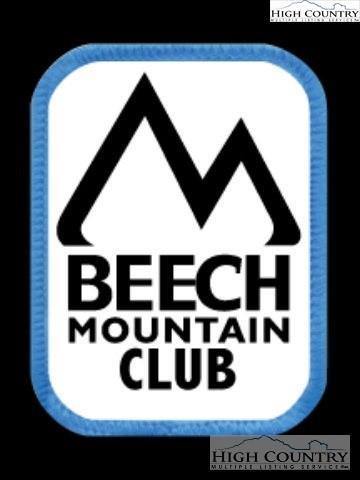 250 Greenbriar Rd, Beech Mountain, NC 28604 photo 3