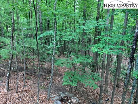 134 Birch Ln, Deep Gap, NC 28618 photo 43