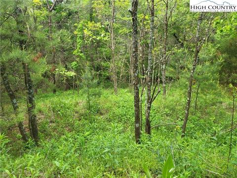 tbd Round Knob Church Rd, Glendale Springs, NC 28694