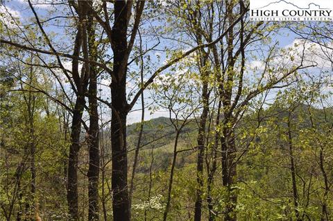 165 Chestnut Way Rd, Beech Mountain, NC 28604 photo 1