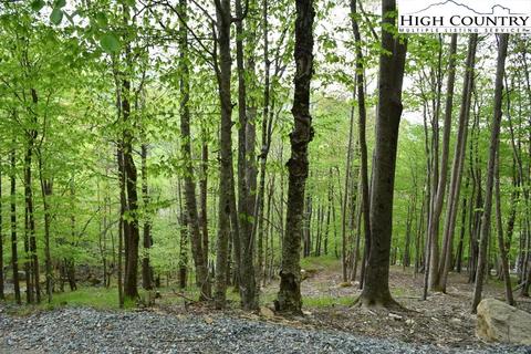 153 Hornbeam Rd, Beech Mountain, NC 28604 photo 2
