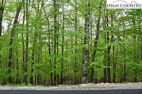 153 Hornbeam Rd, Beech Mountain, NC 28604 photo 6