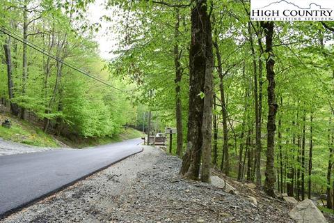 153 Hornbeam Rd, Beech Mountain, NC 28604 photo 5