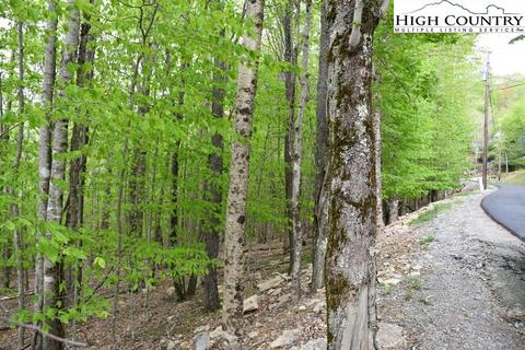 153 Hornbeam Rd, Beech Mountain, NC 28604 photo 4