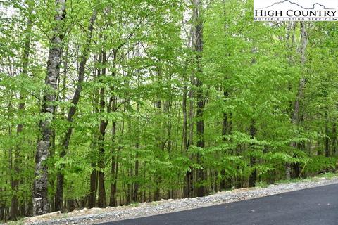 153 Hornbeam Rd, Beech Mountain, NC 28604 photo 7