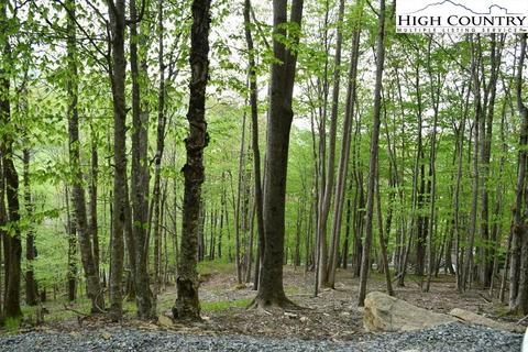 153 Hornbeam Rd, Beech Mountain, NC 28604 photo 1