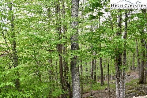 153 Hornbeam Rd, Beech Mountain, NC 28604 photo 3
