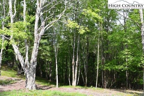 172 Wild Daisy Rd, Beech Mountain, NC 28604 photo 5