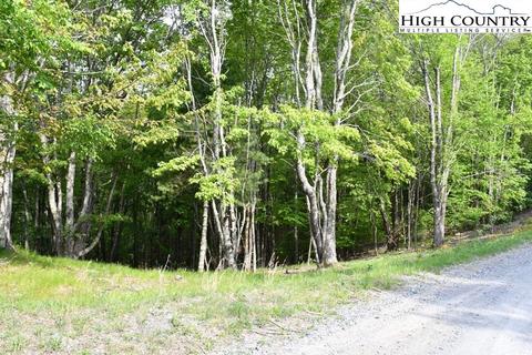 172 Wild Daisy Rd, Beech Mountain, NC 28604 photo 3