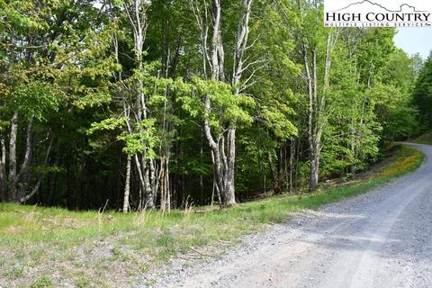 172 Wild Daisy Rd, Beech Mountain, NC 28604 photo 1