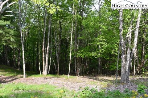 172 Wild Daisy Rd, Beech Mountain, NC 28604 photo 4