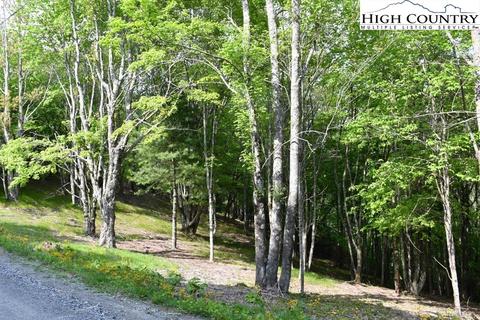 172 Wild Daisy Rd, Beech Mountain, NC 28604 photo 7