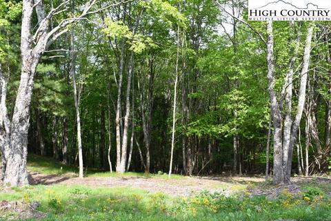 172 Wild Daisy Rd, Beech Mountain, NC 28604 photo 6