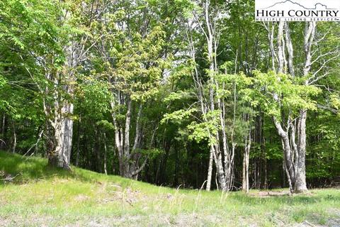 172 Wild Daisy Rd, Beech Mountain, NC 28604 photo 2