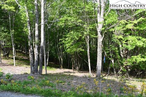 172 Wild Daisy Rd, Beech Mountain, NC 28604 photo 8