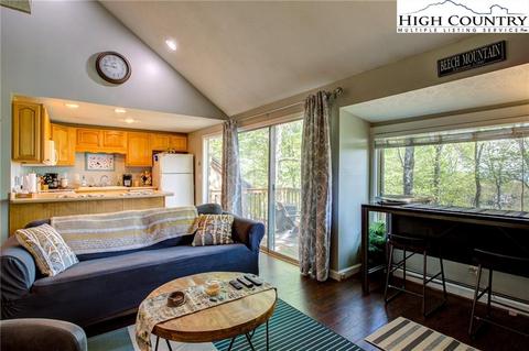 101 Ladybug Ln #6A, Beech Mountain, NC 28604 photo 12