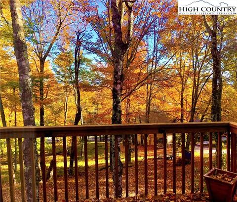 101 Ladybug Ln #6A, Beech Mountain, NC 28604 photo 18